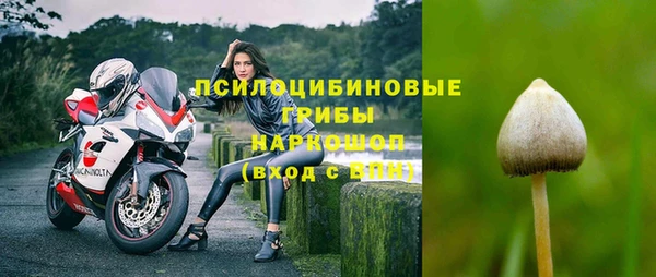 твердый Костерёво