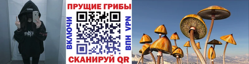 Галлюциногенные грибы Cubensis Купить закладки Лукоянов